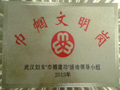 湖北東信醫藥有限公司榮獲2013年度武漢市巾幗文明崗單位