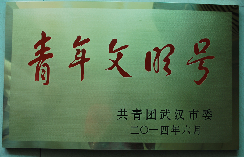 湖北東信醫藥榮獲 “2013-2014年度武漢市青年文明號”榮譽...