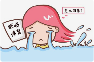 好好的胚胎怎么就停育了呢？