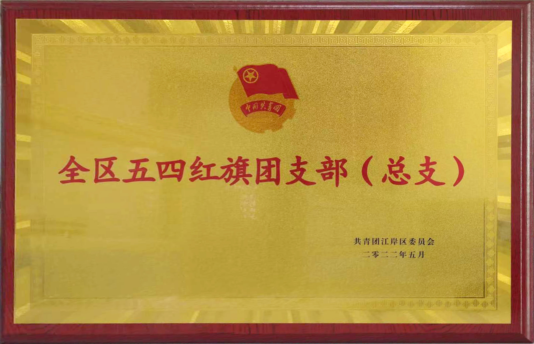 共青團成立100周年之際，東信醫藥團支部喜獲武漢市江岸區“全區五...